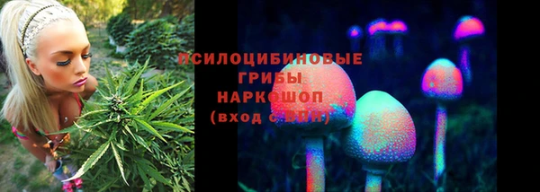 шишки Заволжье