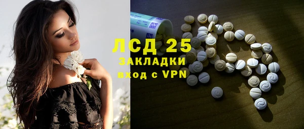 шишки Заволжье