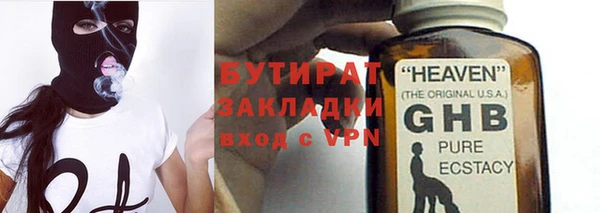 шишки Заволжье