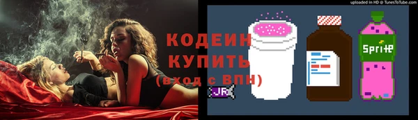 МДПВ Елабуга