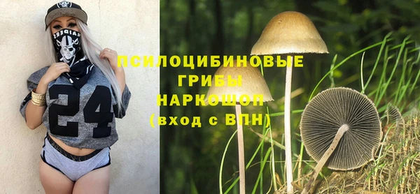 мет Ельня