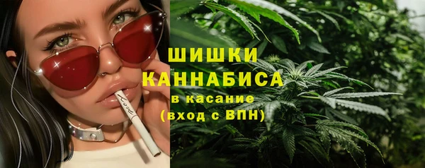 МДПВ Елабуга