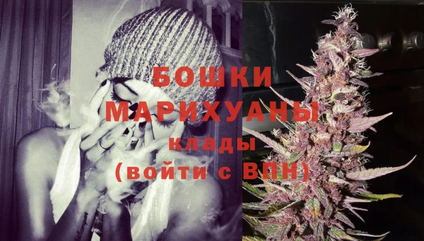 мет Ельня