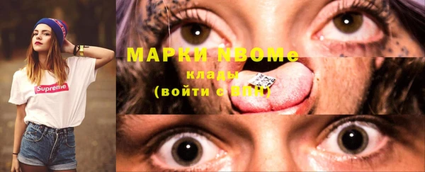 шишки Заволжье