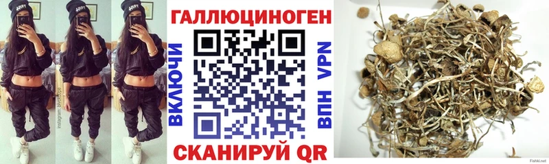 Галлюциногенные грибы MAGIC MUSHROOMS  Купить  Кологрив 